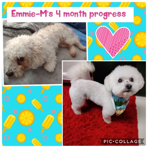 MEDIUM or LARGE pink pokadot babydoll - Picture 8 of 8